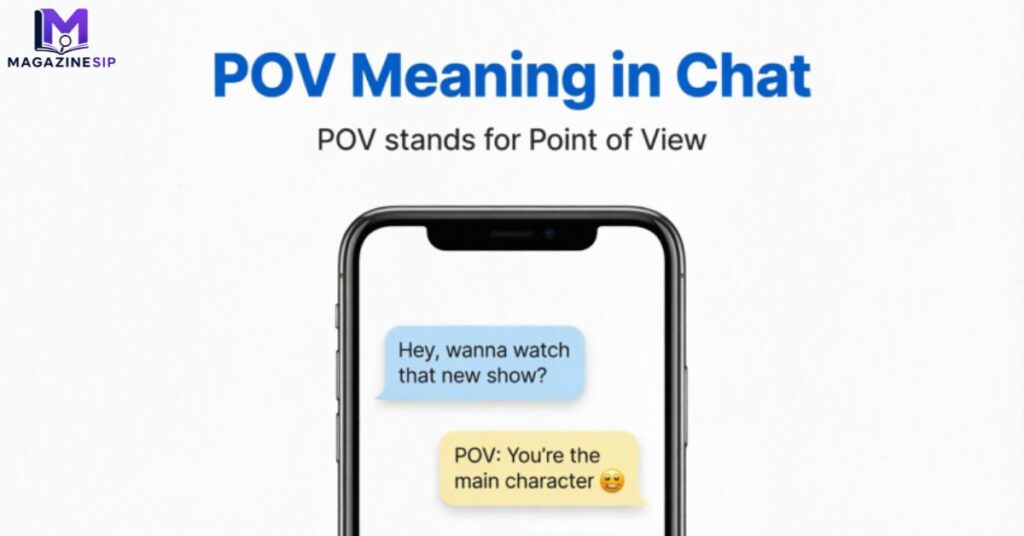Pov meaning in chat
